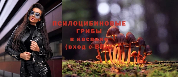 каннабис Арсеньев