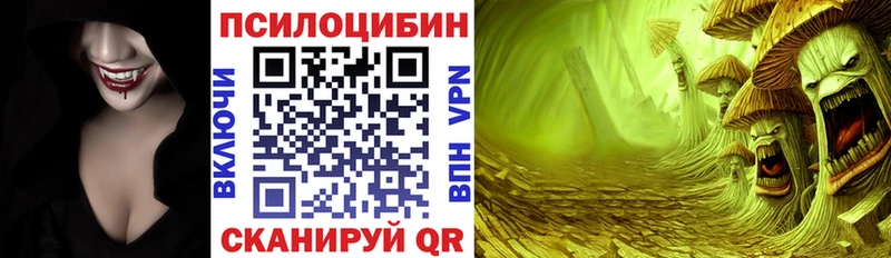 площадка официальный сайт Петрозаводск Галлюциногенные грибы Psilocybine cubensis